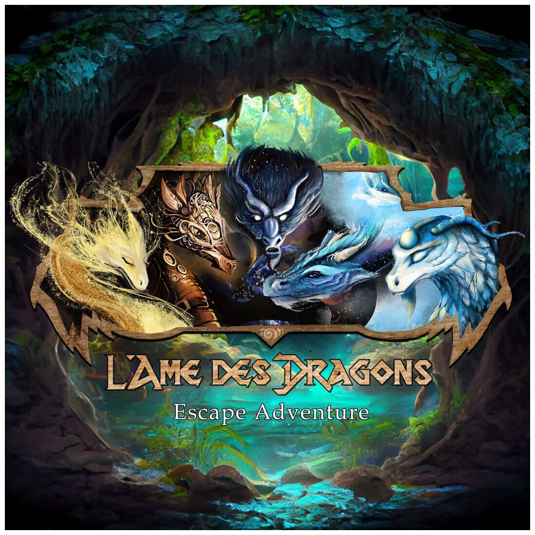 L'âme Des Dragons