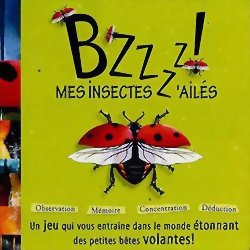 Bzzzz! mes Insectes z'ailés