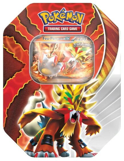 Pokémon JCC - Boîte  - Feu-Perçant-ex - Destinée Paradoxe
