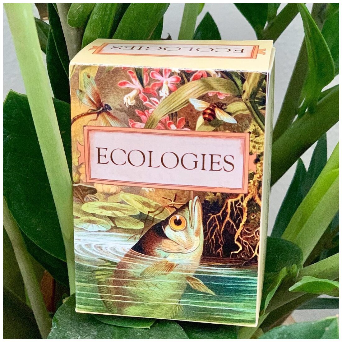 Ecologies
