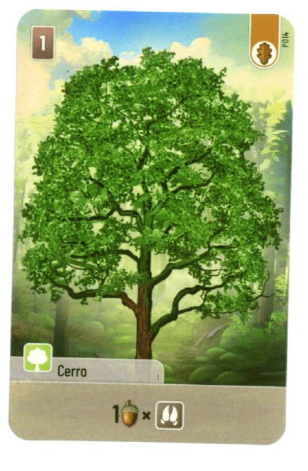Forest Shuffle - Cerro