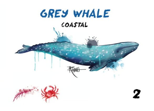 Ocean Pods - Grey Whale