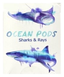 Ocean Pods - Sharks & Rays
