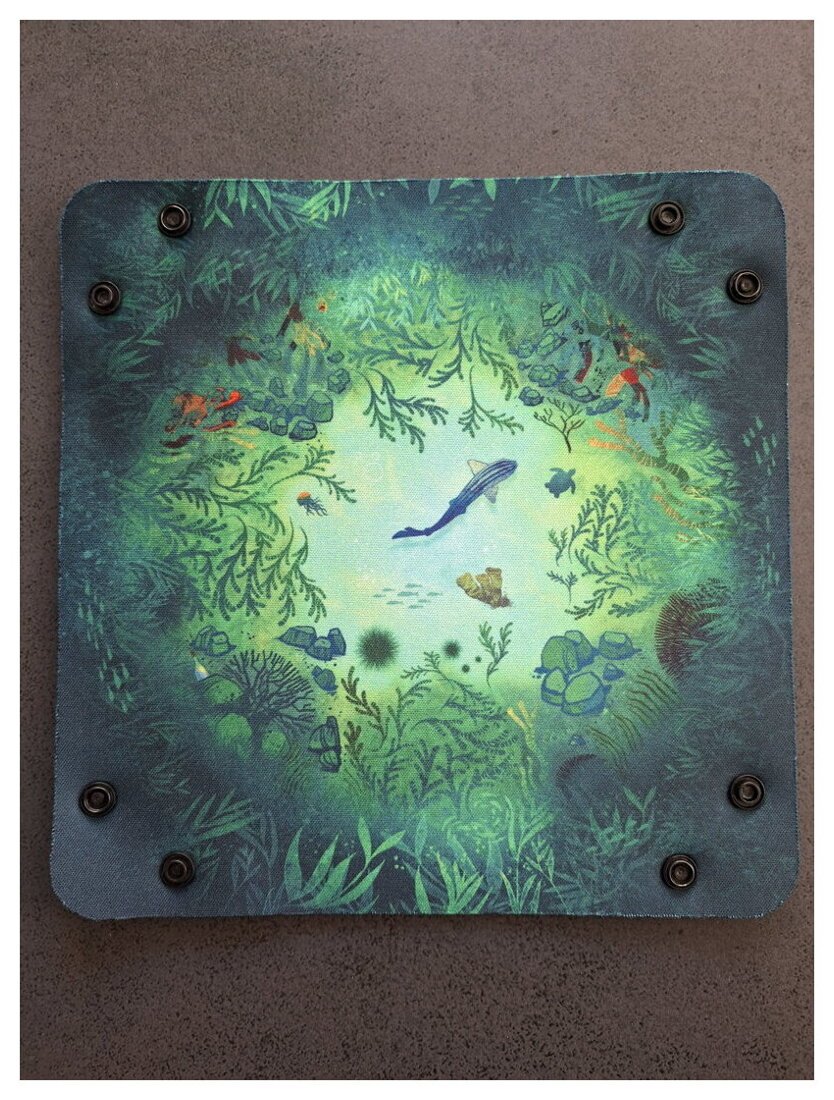 Kelp - Dice Tray
