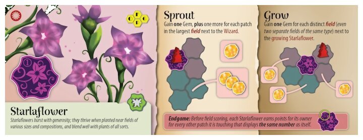 Power Plants - Starlaflower