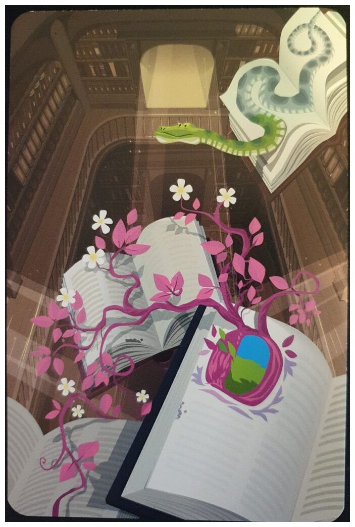 Dixit - Librairie obscurio