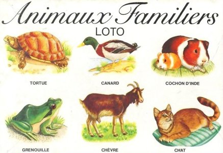Loto animaux familiers