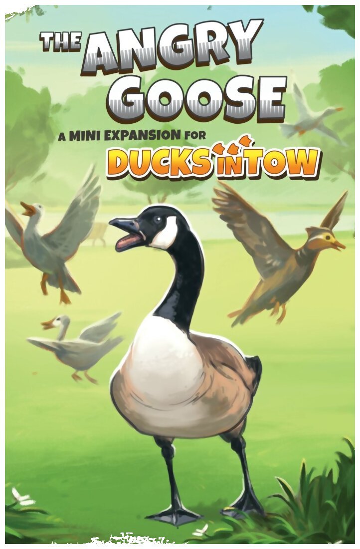 Ducks In Tow - The Angry Goose