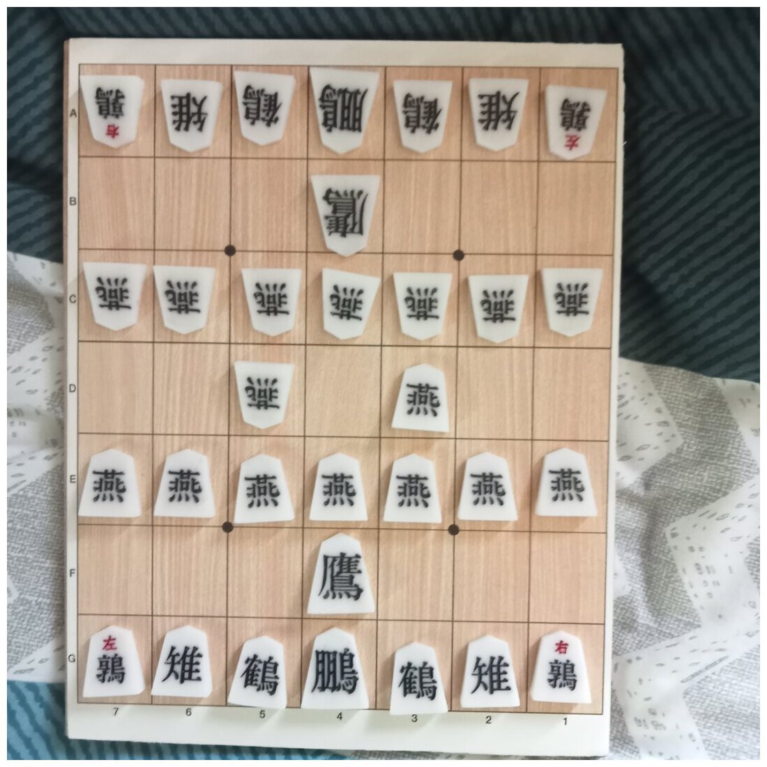 Tori Shogi