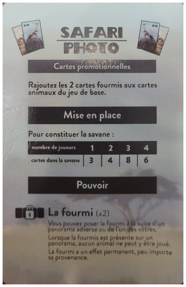Safari Photo - cartes promotionnelles