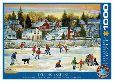 Puzzle - Soirée De Patinage - 1000 Pièces