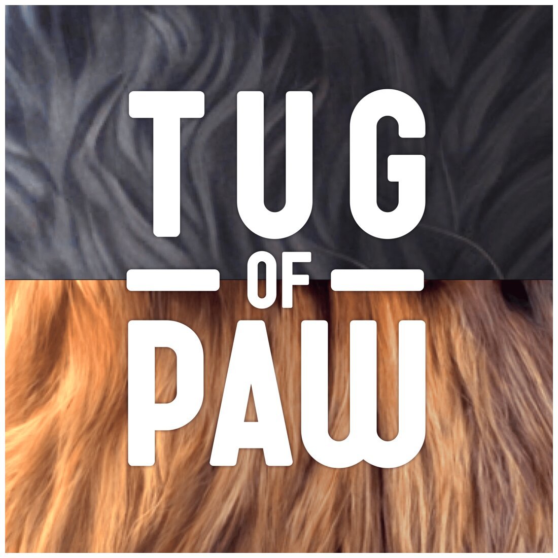 Tug of Paw