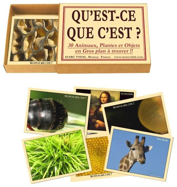Qu'est-ce que c'est ? - 30 Animaux, Plantes et Objets en Gros Plan à Trouver !!