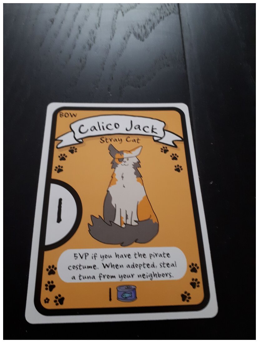 Photo: Cat Lady - Calico Jack Promo Card