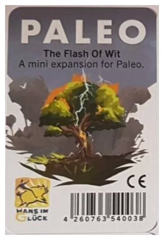 Paleo - The Flash Of Wit