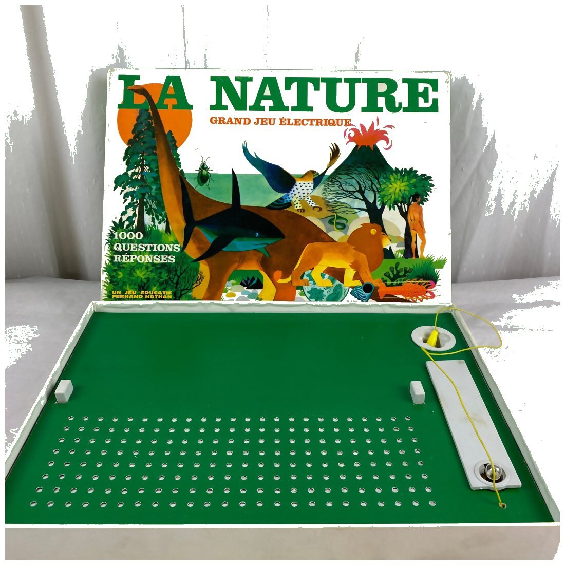 La nature  : grand jeu électrique