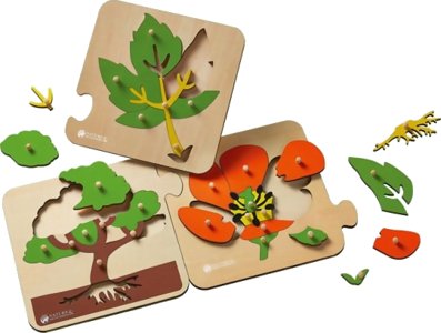 3 Puzzles Botaniques