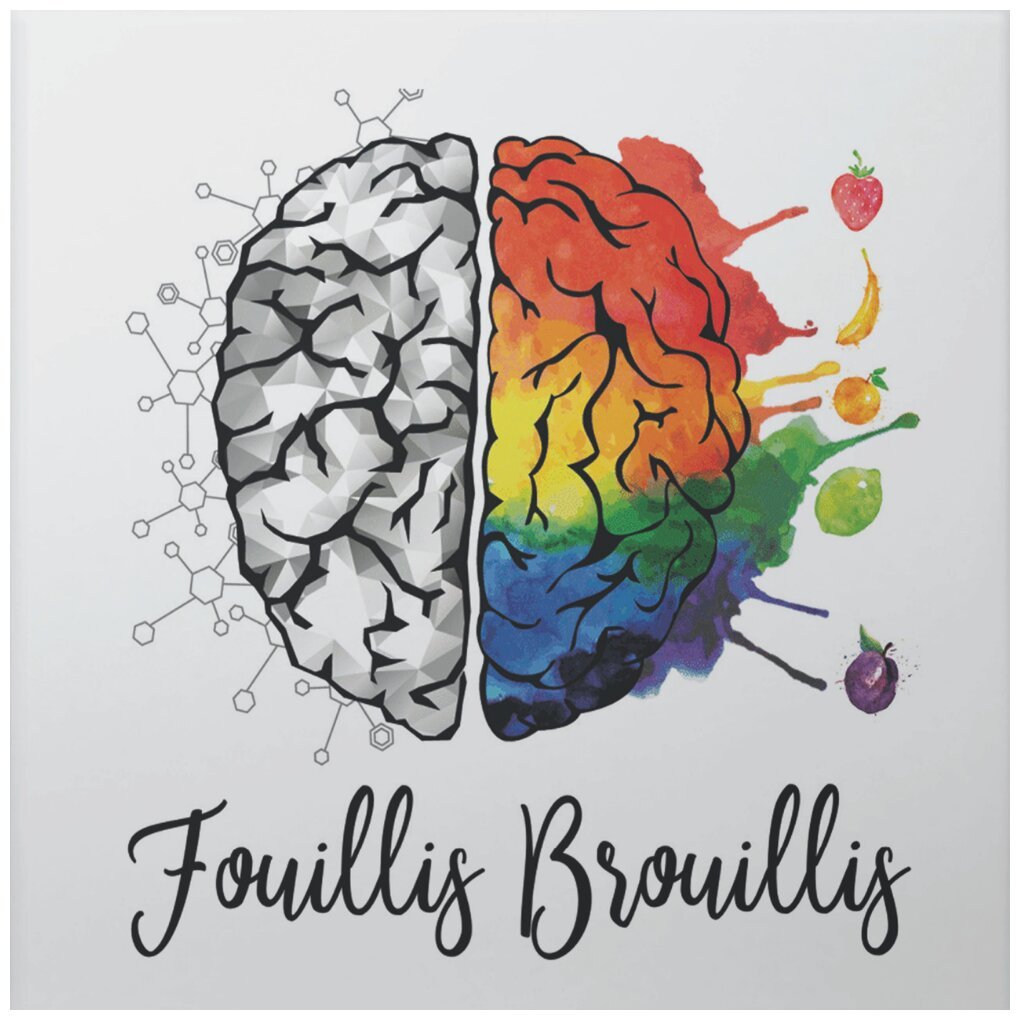 Fouillis Brouillis