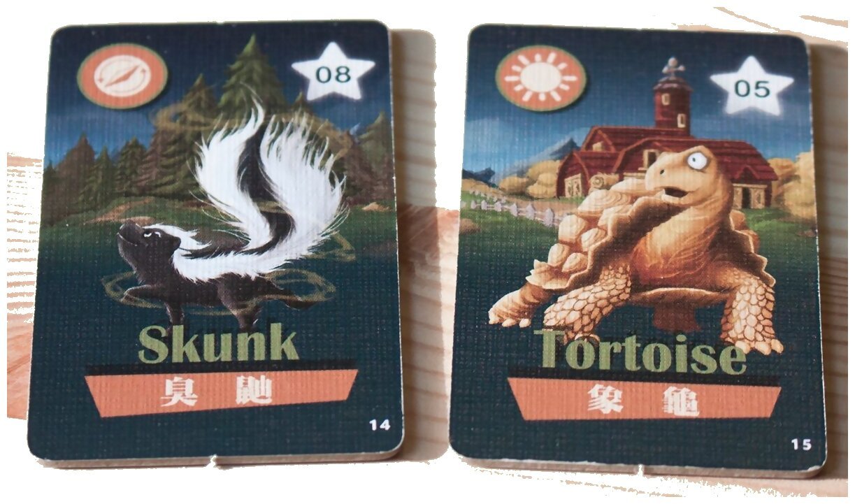 Animals Frightening Night ! - Tortoise and Skunk
