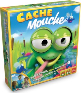 Cache Mouche