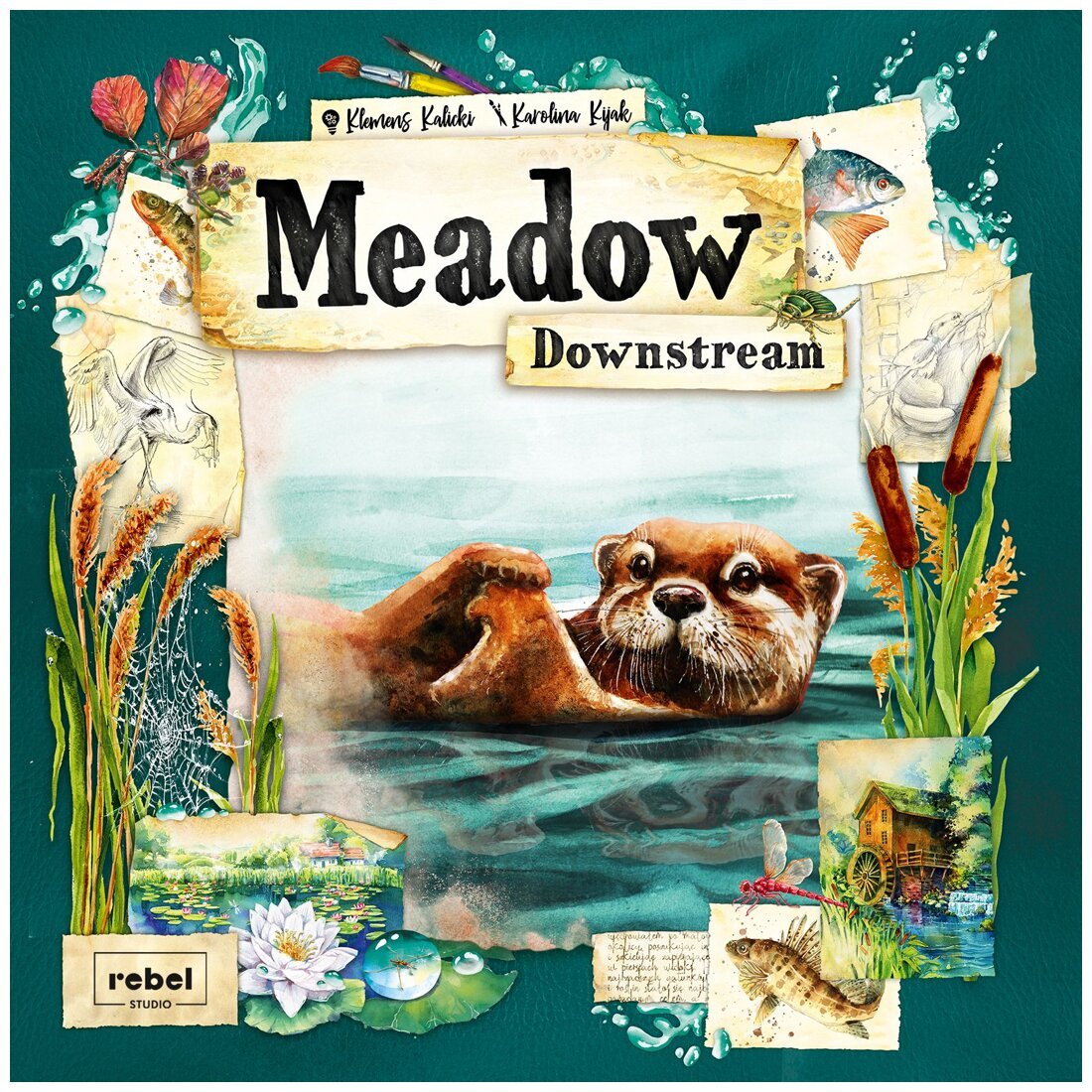 Meadow - Downstream