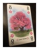 Arboretum - Alternate Art Cherry Blossom 8-Card