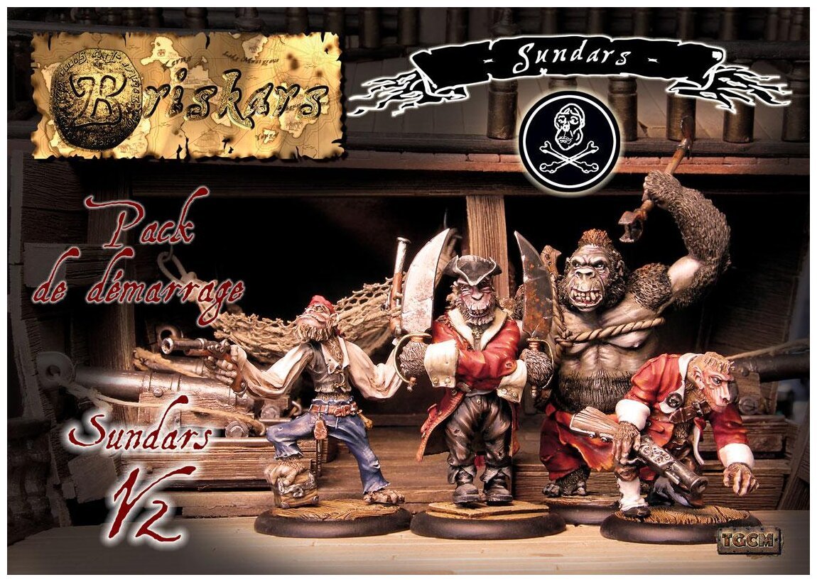 Briskars - Starter Sundars V2