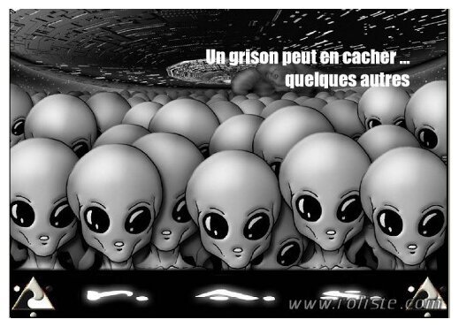 R.A.S. - Un Grison Peut en Cacher... Quelques Autres
