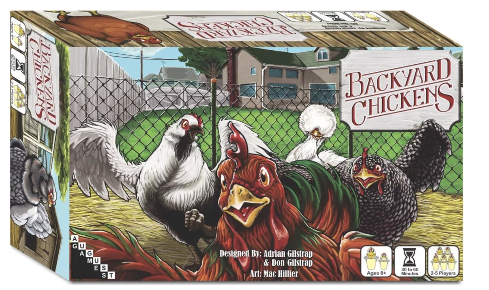 Backyard Chickens