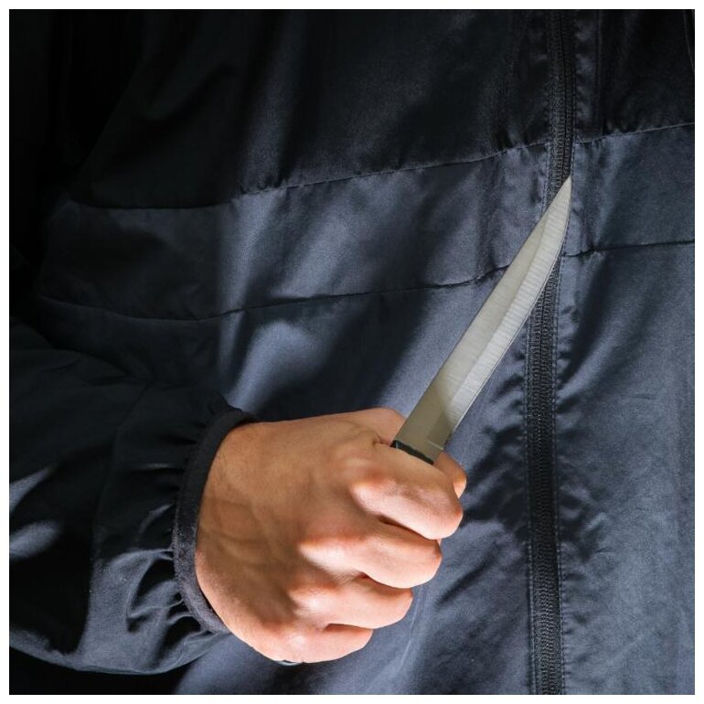 Attrape l'Assassin - Dossier Diplômées