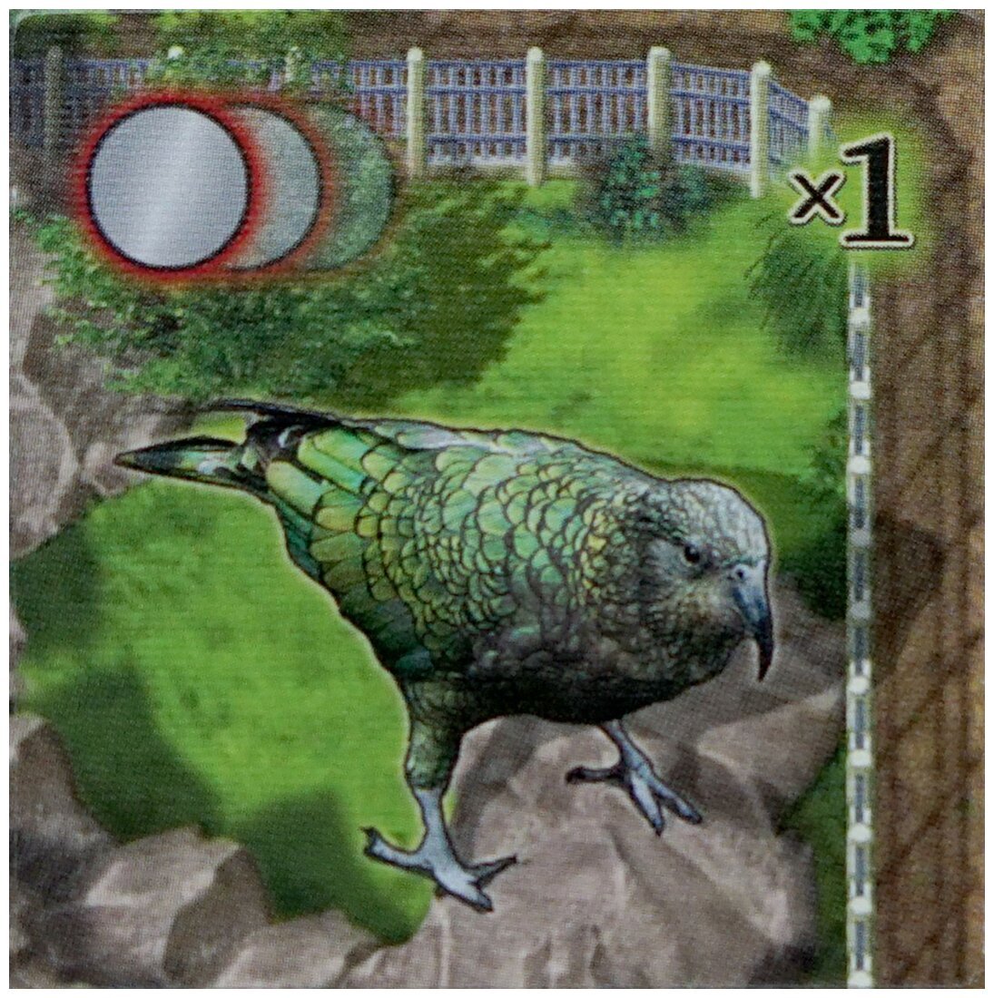 Zooloretto - Kea