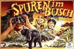 Spuren im Busch