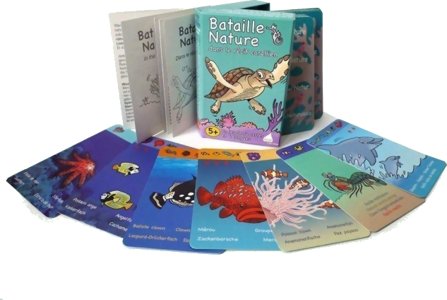 Bataille Nature Dans le Récif Corallien