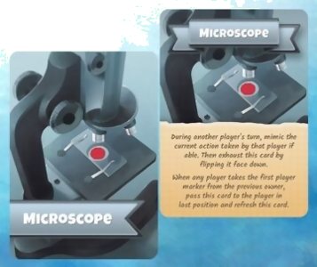 Cytosis - Microscope