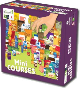 Mini Courses