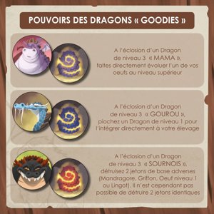 Dragon Ranch - Pouvoirs des dragons