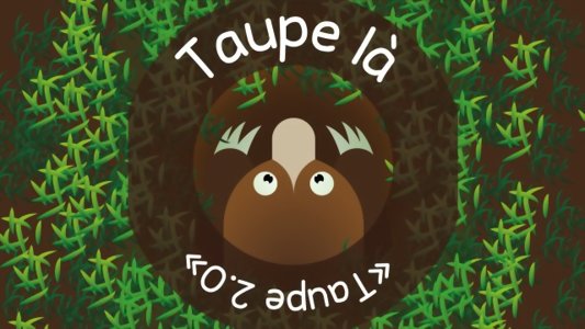 Taupe là