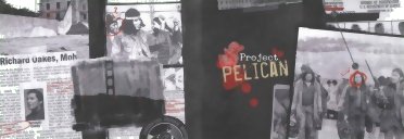 Projet Pelican - Ecran de Jeu