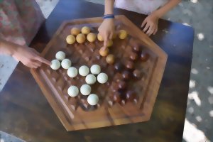 Abalone en Palissandre 2-3 joueurs