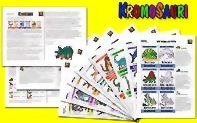 Kromosauri