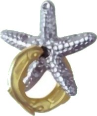 Star fish