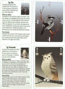 Songbirds - La Pie & La Chouette