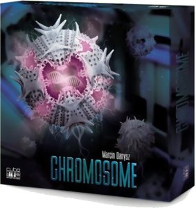 Chromosome
