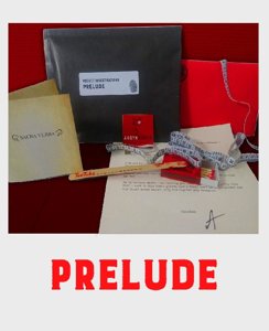 Pocket Investigations : Prelude