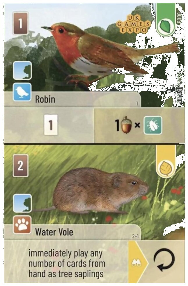 Forest Shuffle - Robin / Water Vole