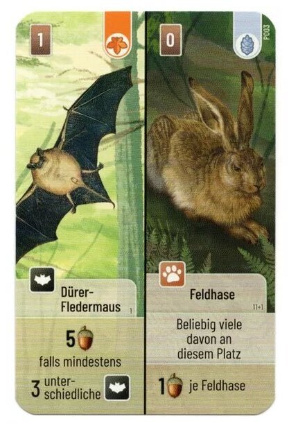 Forêt Mixte - Dürer-Fledermaus / Feldhase