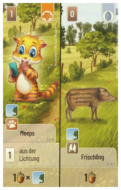 Forêt Mixte - Meeps / Frischling