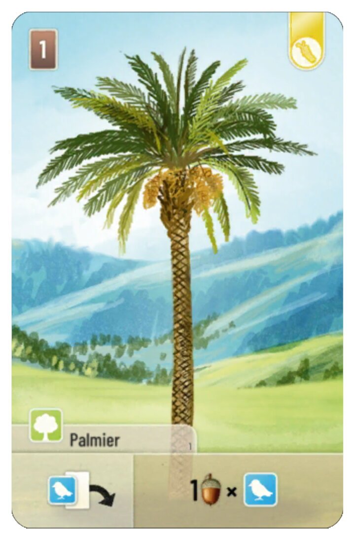 Forêt Mixte - Palmier