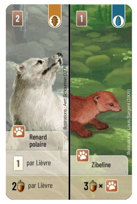 Forêt Mixte - Renard Polaire / Zibeline