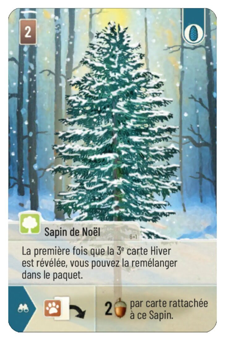 Forêt Mixte - Sapin De Noël